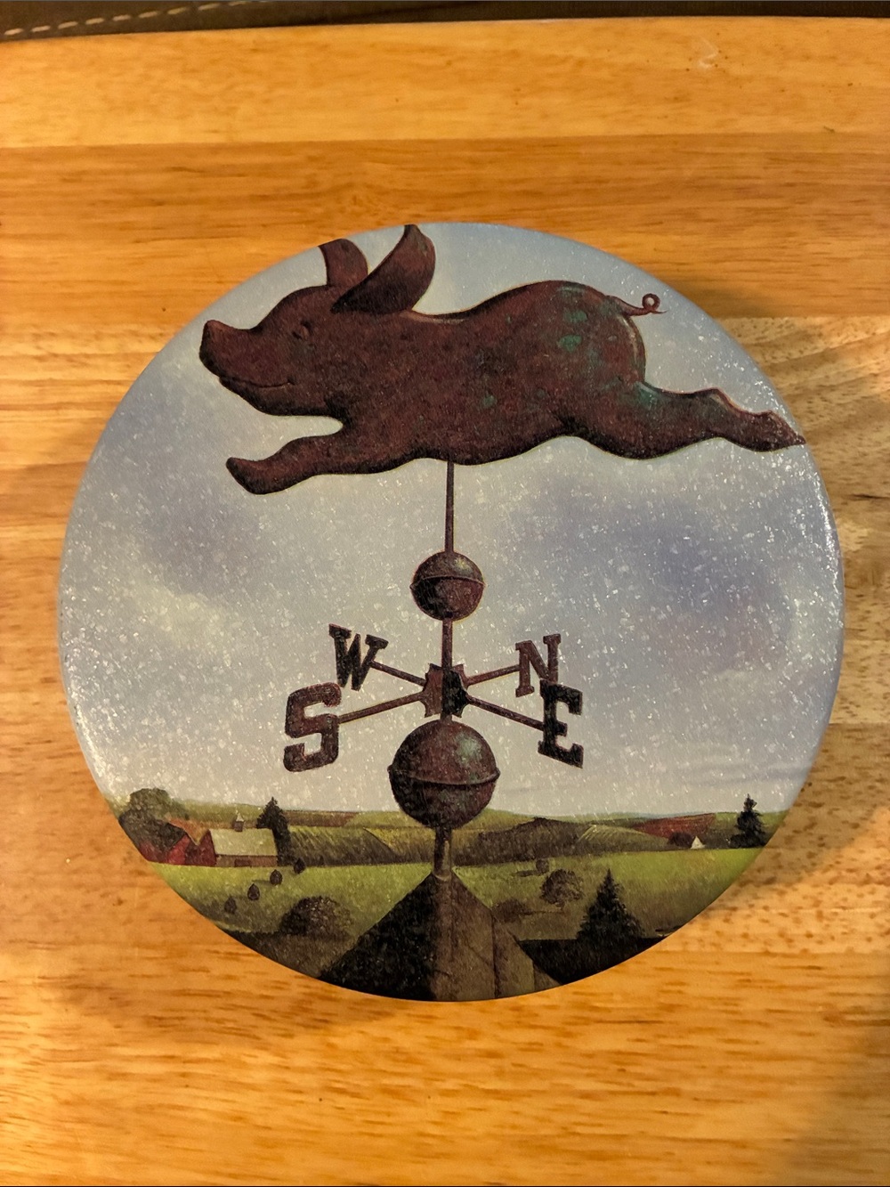 Rustic Flying Pig Weathervane Metal Tin- Blue and Brown
